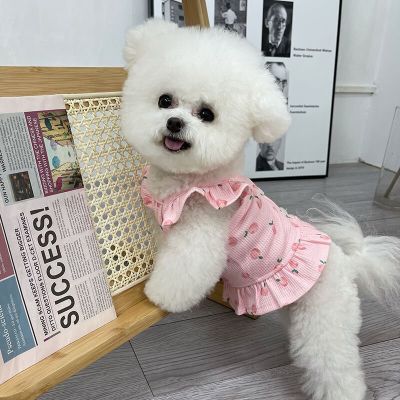Puppy Summer Sweet Cute Pet Dog Clothes Summer Princess Dresses Teddy Bears Dogs Puppies Dogs Clothing For Small Dogs  강아지드레스 Dresses