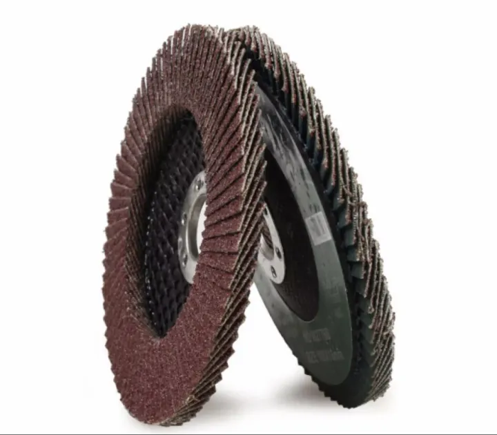 2PCS Expert Sanding Abrasive Flap Disc for Steel Wood Wheel Lazada PH