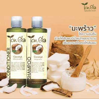 แชมพูมะพร้าว (Coconut Shampoo)  ขนาด 260 ml