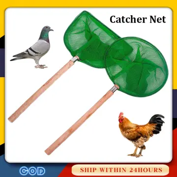 Bird-Preventing net Nylon Anti Bird catcher net mesh 3x10m Black Prevent  hunting catching garden netting for fruit crop protection