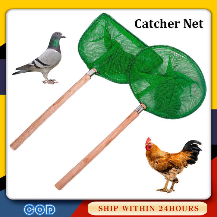 Big Size Bird Catcher Net with Wood Handle for Pigeons Birds Gamefowl