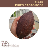 ผลโกโก้แห้ง สำหรับตกแต่ง (Dried Cacao Pods)