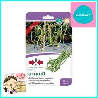 เมล็ดพันธุ์ถั่วฝักยาว นาคมณี ศรแดงLONG BEAN SEEDS NAKMANEE SORNDAENG **พลาดไม่ได้แล้วจ้ะแม่**