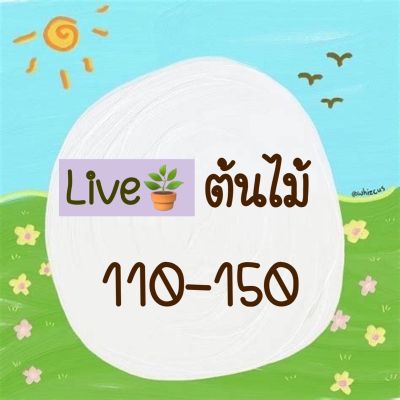 ขายดีอันดับ1 Live ต้นไม้ 110-150 ✨ ส่งทั่วไทย ต้นไม้ ฟอก อากาศ กระถาง ต้นไม้ ไม้ ประดับ ต้นไม้ ปลูก ใน บ้าน