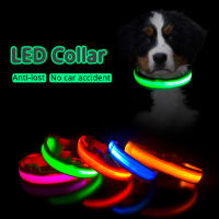 USB Charging Led Dog Collar Anti-LostAvoid Car Accident Collar For Dogs Puppies Dog Collars Leads LED Supplies Products