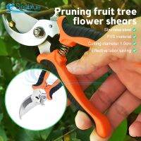 【LZ】 Stainless Steel Scissors Pruner Secateurs Pruning Bypass Sharpener Loppers Garden Tool Bonsai Flower Cultivation Snip Floral New