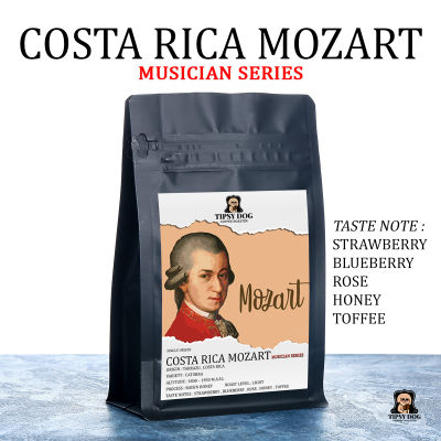 Costa Rica Canet Mozart Musician Series - เมล็ดกาแฟคั่วอ่อน