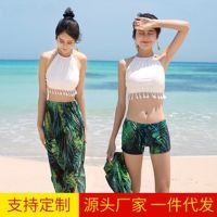 Couple swimsuit hot style female three-piece Korean spring sweet conservative bikini covered fission belly