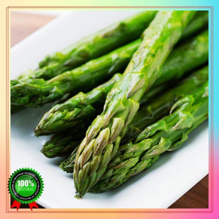 Fast Germination Asparagus Bonsai Seeds Easy To Grow In The Local