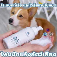 [ฆ่าเชื้อกำจัดไรได้ 100%]LIKE แชมพูอาบแห้งสุนัข แมว 500ml dry cleaning foam สูตรลดแบคทีเรีย แมวและสุนัขเลียได้ ทำความสะอาดผิ อย่างล้ำลึก ทำให้ขนของสัตว์สวยงาม ไม่ล้างน้ำ โฟมอาบน้ำแห้ง โฟมอาบแห้งหมา แชมพูแห้งสุนัข แชมพูอาบน้ำหมา แชมพูอาบน้ำแ แชมพูแห้งแมว