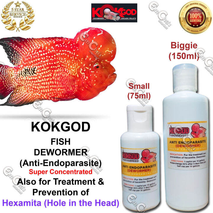KokGod Fish Dewormer (CHOOSE SIZE) and Fish Hexamita (Hole in the Head