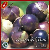 20 เมล็ด โทมาทิลโล่ สีม่วง (Purple Tomatillo Seed) เมล็ดโทมาทิลโล่ โทมาทิลโล่สีม่วง เมล็ดโทมาทิลโล่ม่วง