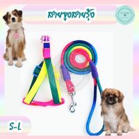 Dog leash, Rainbow style, Handle leash, Nylon, for small and medium dog