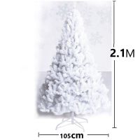 7 / 2.1M Christmas Tree ต้นคริสมาสต์สีขาวฐานเหล็กก้านสนฟูหนา สวยเหมือนต้นคริสมาสจริง 1ต้น