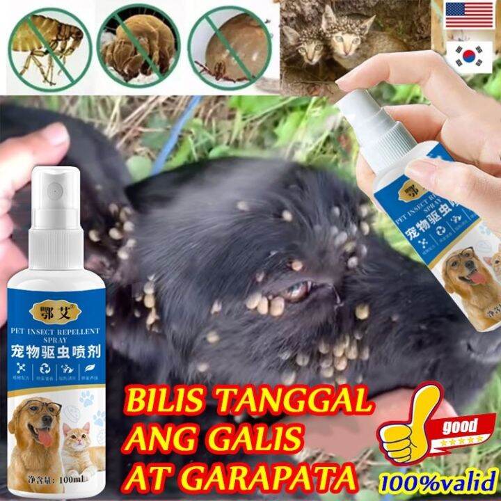 Pangpatay ng garapata sa aso NEXGARD Vet core odor bravicto for dog vet