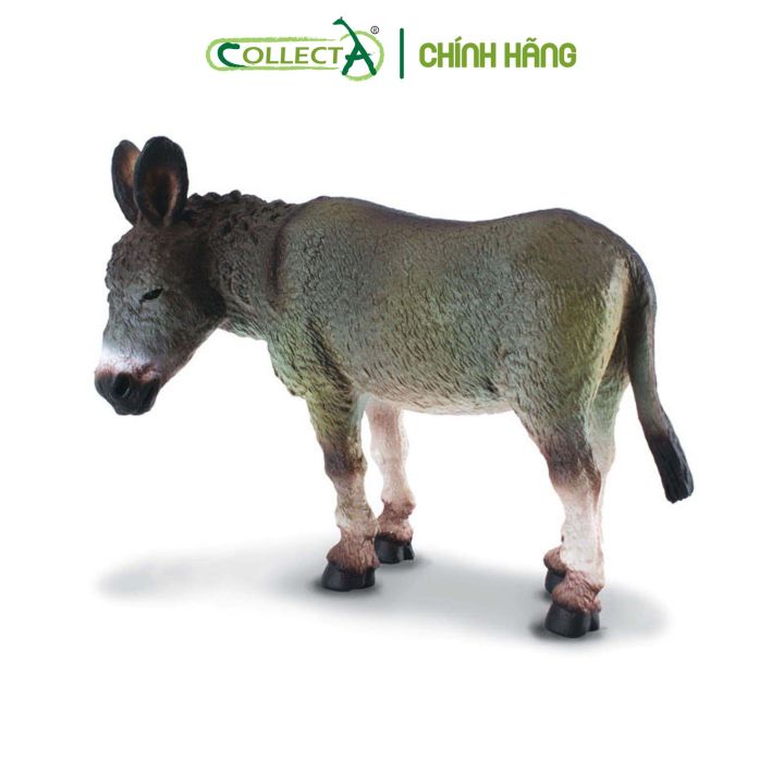 donkey phim hoạt hình  Một con lừa png tải về  Miễn phí trong suốt  Donkey png Tải về