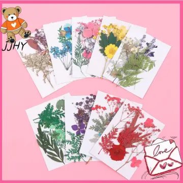 Dried Pressed Flowers for Resin Dry Leaves Bulk for Scrapbooking DIY Art  Crafts 