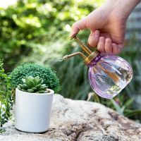 【CW】 1pc Plastic Glass Watering Pot Antique Shower Crafts Cans Bottle Small Garden Tools