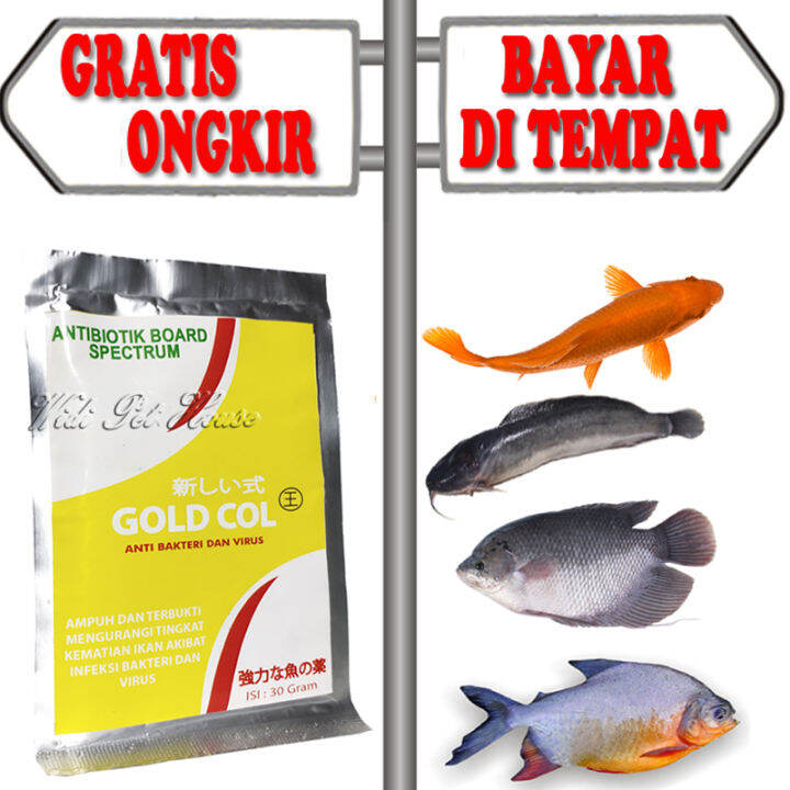 Antibiotik Ikan Gold Col Gurame Emas Patin Udang Nila Lele Koi