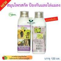 Green Garden สมุนไพรสกัด ปุ๋ย น้ำยาป้องกันและไล่แมลง ชนิดเข้มข้น 120ml. ชนิดเข้มข้นผสมน้ำก่อนใช้งาน