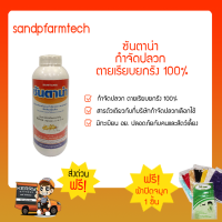 ซันตาน่า (บรรจุ 1 /2 /6 ขวด) ป้องกัน และกำจัดปลวก ตายเรียบยกรัง 100% # มี อย. ปลอดภัย # สูตรใหม่ ไม่เหม็น # เก็บปลายทางได้