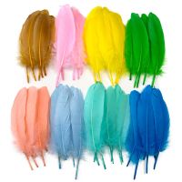 13-18cm Feather Feathers Crafts Wedding Decoration Diy Jewelry Sewing Accessories Plumas 50/100/300Pcs