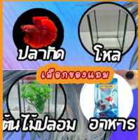 ของขวัญตามกิจกรรมให้เลื่อก1ชิ้น ระบุในช่องแชท ของร้านAquaticGo