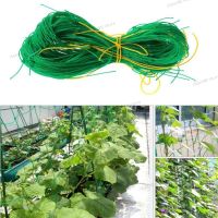 4 Sizes Garden Plant Climbing Net Stand Holder Green Nylon Trellis Netting Mesh Support Bean Growing Fence Net Line WB5TH