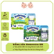 Date 09.2024 Váng sữa Ambrosia cho bé 6m+ Vỉ 6 hộp 55g