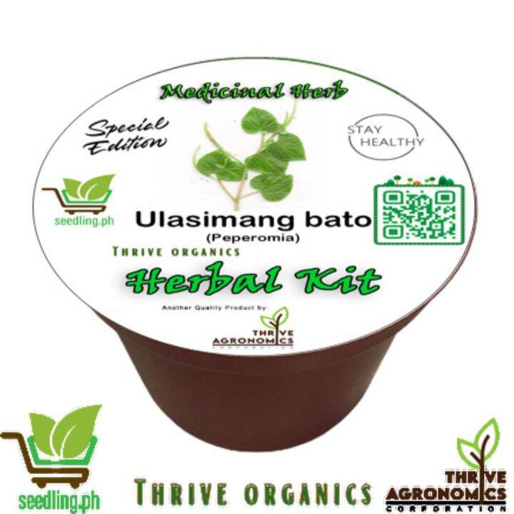 Ulasimang Bato Peperomia Herbal Kit Grow Kit Seedling Kit Starter Kit