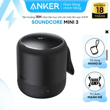 Loa anker 2024 soundcore a3102