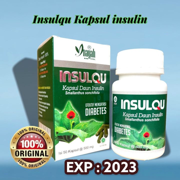 Kapsul Ekstrak Daun Insulin Yakon Insulqu Obat Untuk Diabetes 50 Kpsl