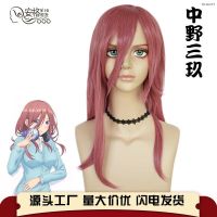 ? วิกผม cos Five flower marry nakano three nine dark pink cartoon cos wig