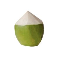 Best Seller Young Coconut Premium Grade Semi-Husked Green Fresh Coconut Premium Quality for Ho Supply Original from Thailand