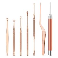 Smart Ear Cleaning Kit with LED Light and Stainless Steel Earpicks for Ear Wax Removal