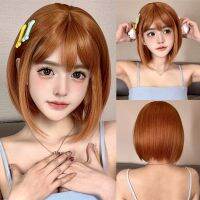 【DT】hot！ Short Straight Bob Hair Synthetic Wigs with Bangs Colorful Wig for Resistant