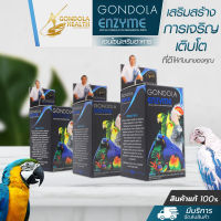 Me and Parrots Shop Mixed Oil Gondola Health เอนไซม์สำหรับนก