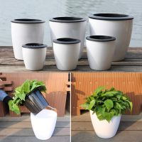 【CC】 Lazy Pot Flowerpot Imitation Plastic Watering Desk Office Garden