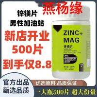 ZMA แมกนีเซียมสังกะสีแท้500เม็ด ZMA สำหรับผู้ชายวิตามินแมกนีเซียมสังกะสีที่ไม่ใช่ฮอร์โมนเพศชายผงโปรตีนอาหารเสริมพลังงาน