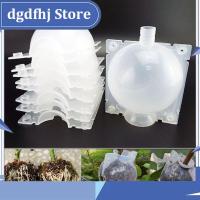 Dgdfhj Shop 8cm Plant Rooting Grow Box Breeding Case 5pcs High Pressure Gardening Plant Root Device Ball for Garden Grafting