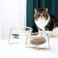 New Non-slip Cat Bowls Glasses Single Bowls with Gold Stand Pet Food Water Bowls for Cats Dogs Feeders Pet Products Cat Bowl