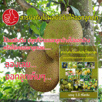 สารบังคับให้ไม้ผลยืนต้นที่ไม่มีผลหรือมีผลน้อยให้มีผลดกได้ เช่น ขนุน มะพร้าว  มะม่วง มะนาว ส้มโอ ลำไย สตอ เป็นต้น