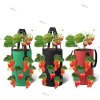 3 Gal 12 Holes Strawberry Grow Pot Bags Plants Flower Tomato Growing Garden Wall Hanging Vegetable Root Planting Her W6TH