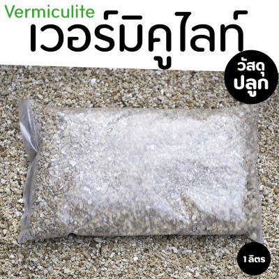 เวอร์มิคูไลท์ Vermiculite เกรด A บรรจุ 1 ลิตร ธาตุฟอสฟอรัส โพแทสเซียม แมกนีเซียม แคลเซียม ใช้ผสมวัสดุปลูกพืชได้ทุกชนิด