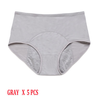 5 Pcs Menstrual Panties Women Leak Proof Period Briefs Sexy Mesh Breathable Physiological Underwear Lingerie Ladies