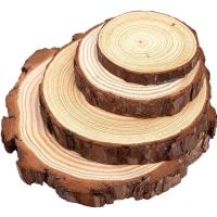 Natural Pine Round Unfinished Wood Slices Circles With Tree Bark Log Discs DIY Crafts Rustic Wedding Party Painting Traps  Drains