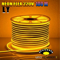 LED Neon Flex LED ไฟเส้น ประดับตกแต่งแม้ในบ้าน หรือนอกบ้าน ไฟบ้าน ไฟรถ กันน้ำ ทนแดด ทนฝน (100 เมตร) คุ้มค่าที่สุดแถมปลั๊ก 5เส้น  L Y