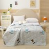 Mùa hè 2023 chăn bông tóc giả mỏng điều hòa comforter mềm mại thoáng khí - ảnh sản phẩm 27