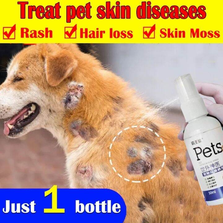 【Safe and effective】Pet skin treatment spray Pet antibacterial spray