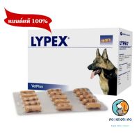 Vetplus Lypex ไลเป็กซ์ สำหรับสุนัข-แมว บรรจุ 60 เม็ด exp9/2023